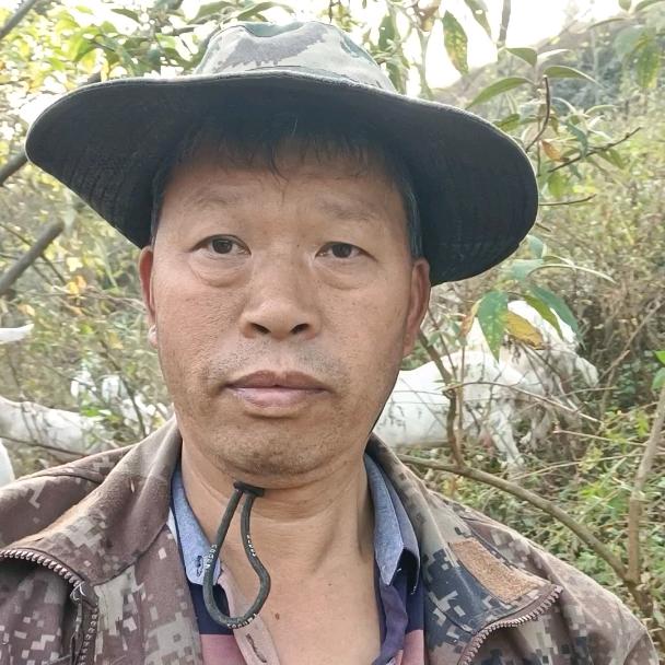 墨染纤尘