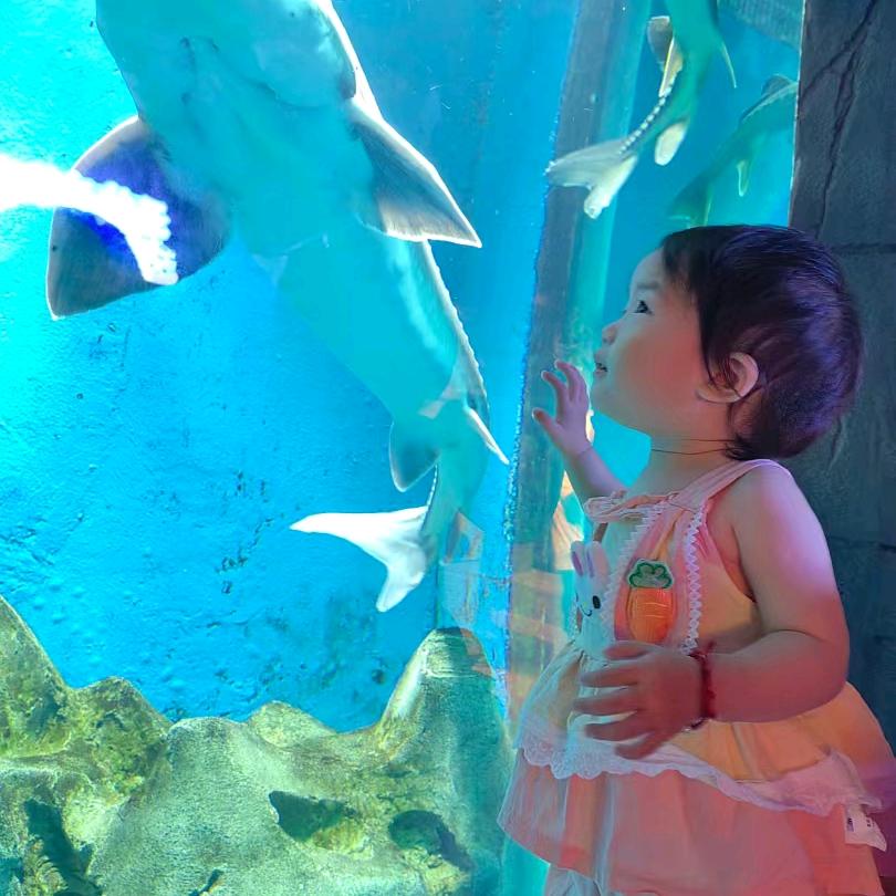 流年似水更似梦