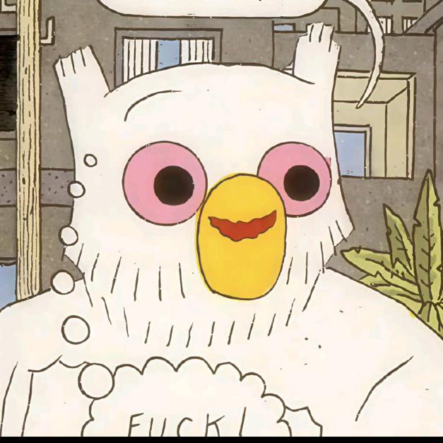 熊白白（失业ING）