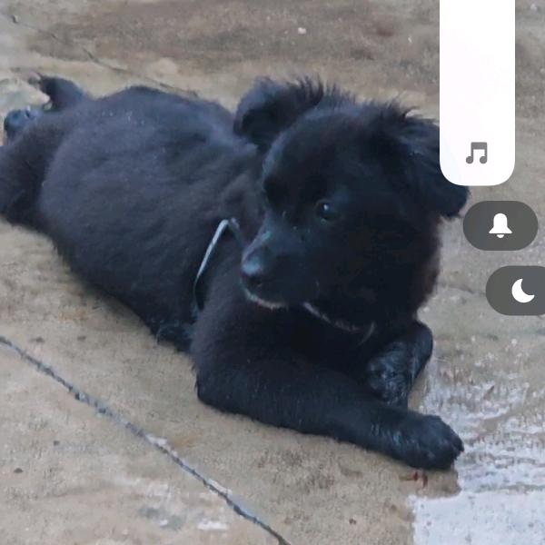 诺哥老婆的前夫