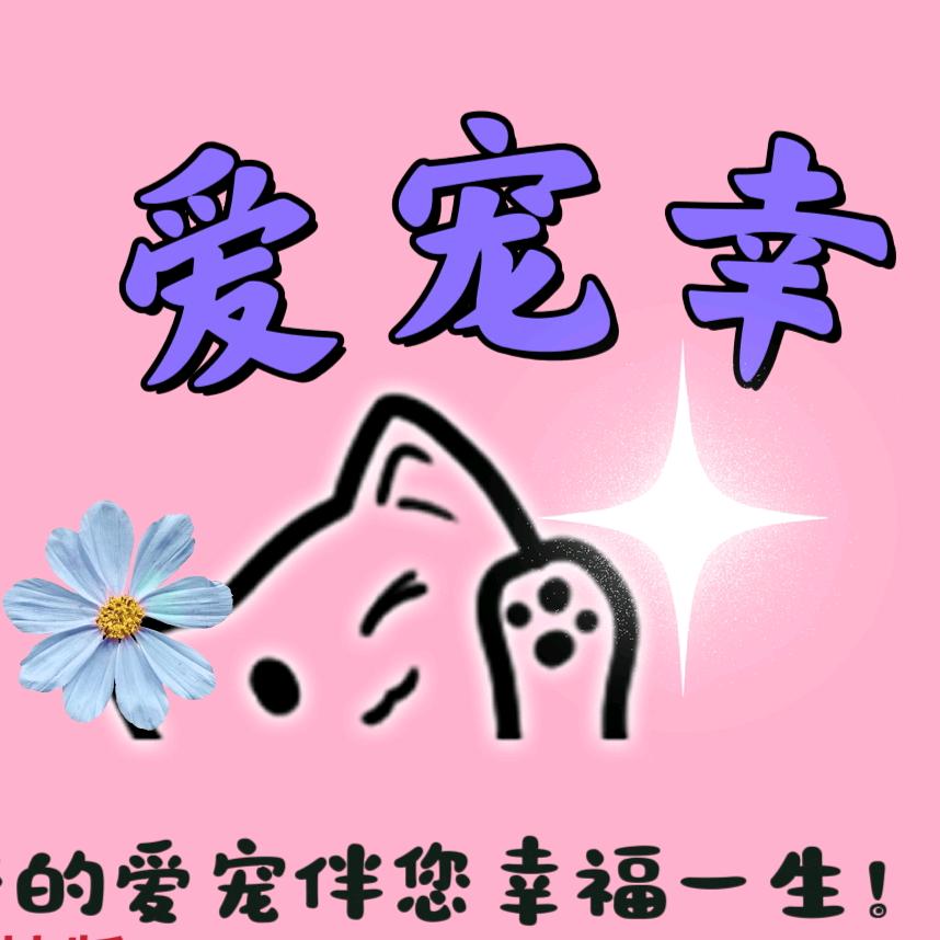 爱之宠幸约克夏之家