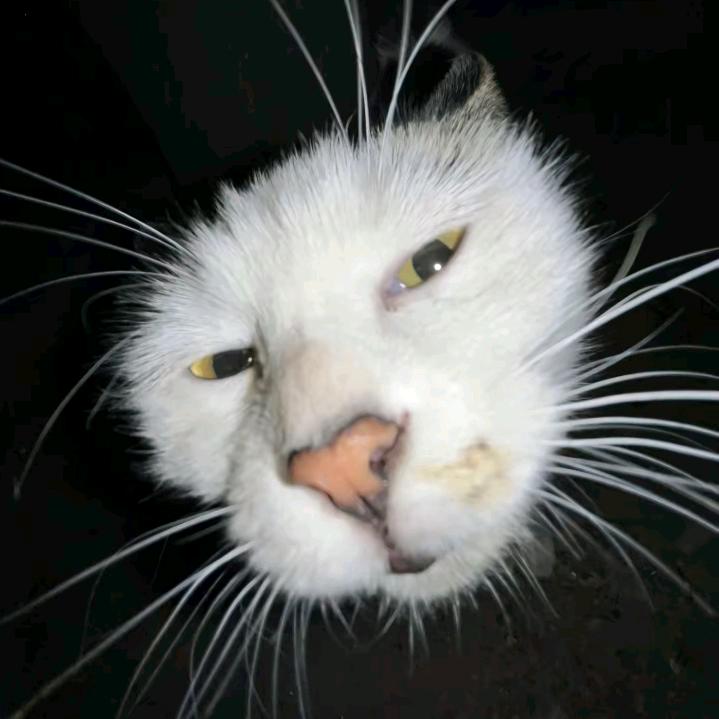 十里八村有名的大善人