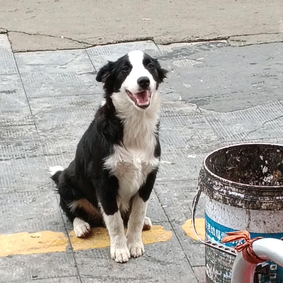 劲爽冰红茶。