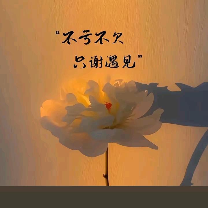 这个人