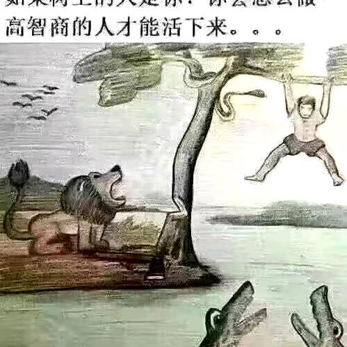716854518812