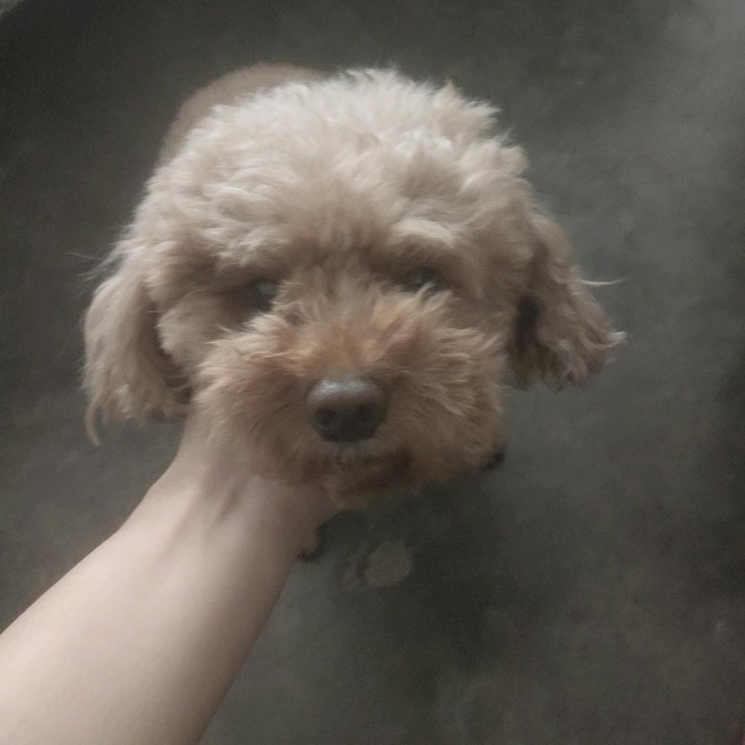 累了，困了，喝红牛