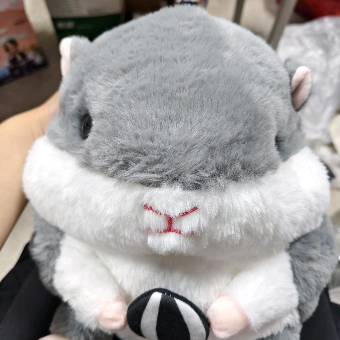 爱吃松鼠的瓜子。