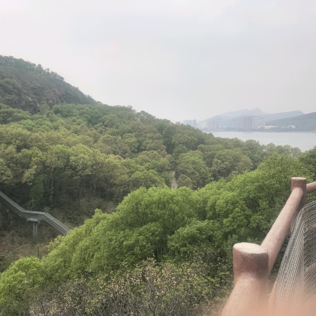 萝卜哥