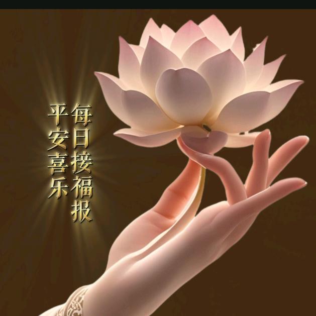 @人生几何.观自在