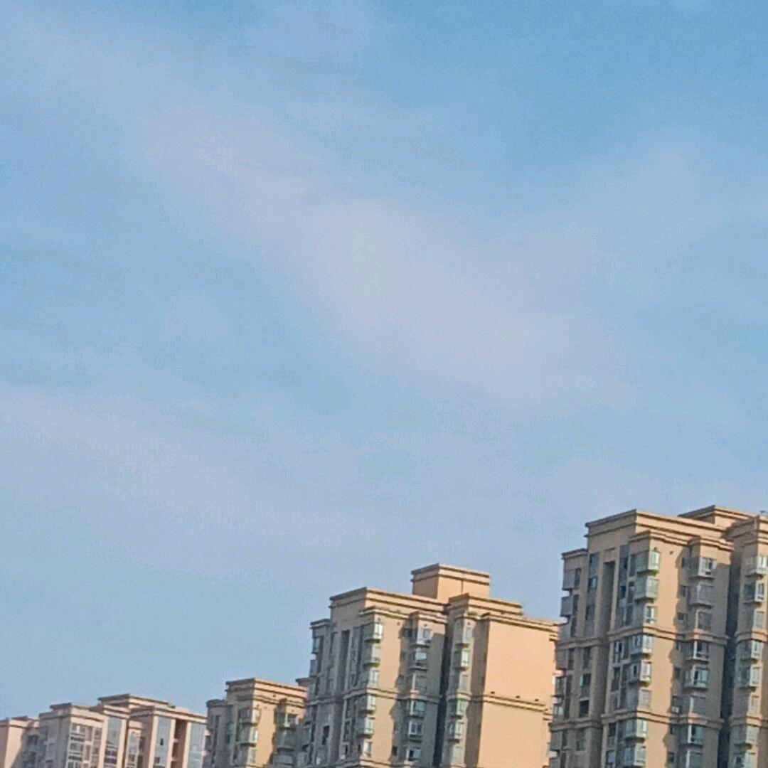 青青拒聊