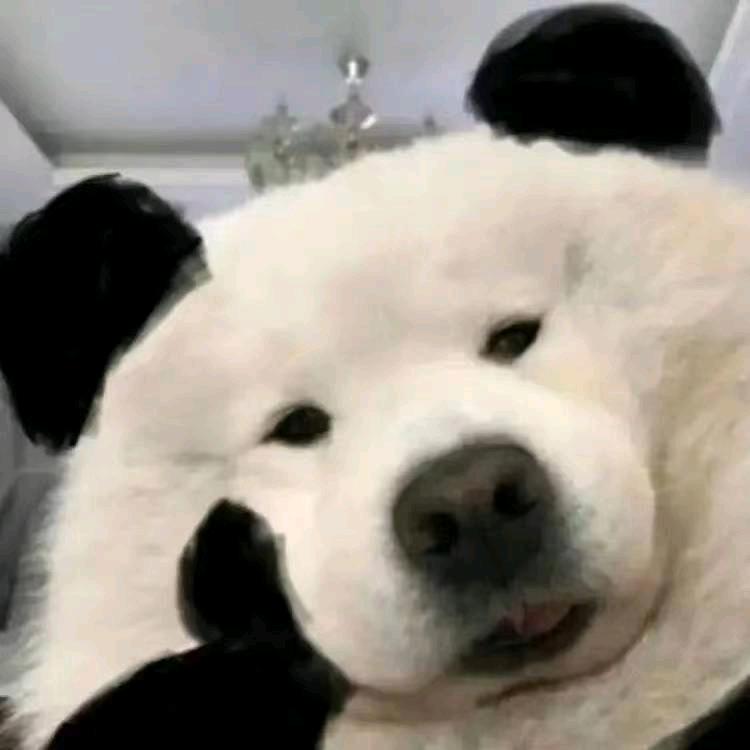 超呀