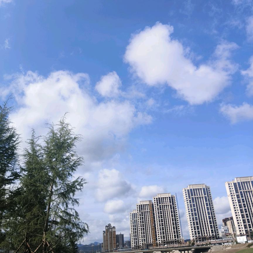 不酸的桃子