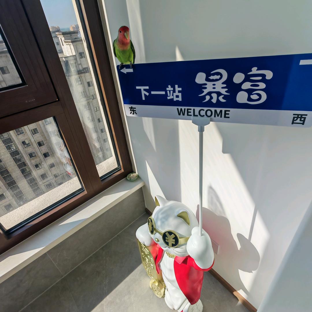 超人不会飞🦸‍♀️