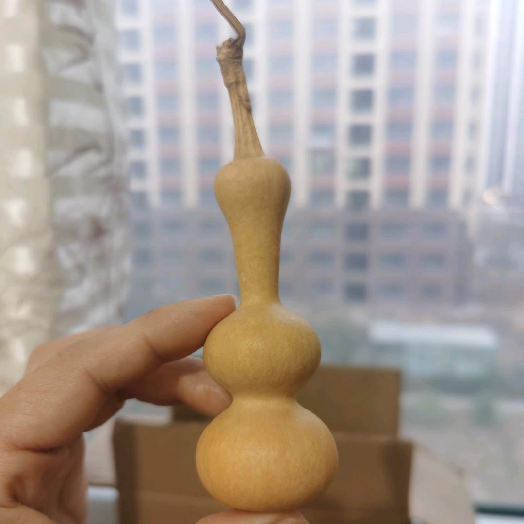葫芦（福禄）到家