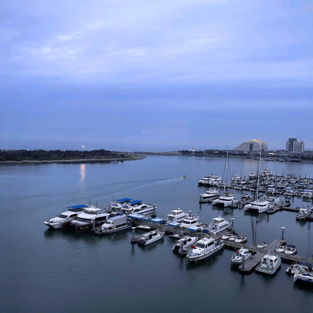 灞波儿奔奔波儿灞