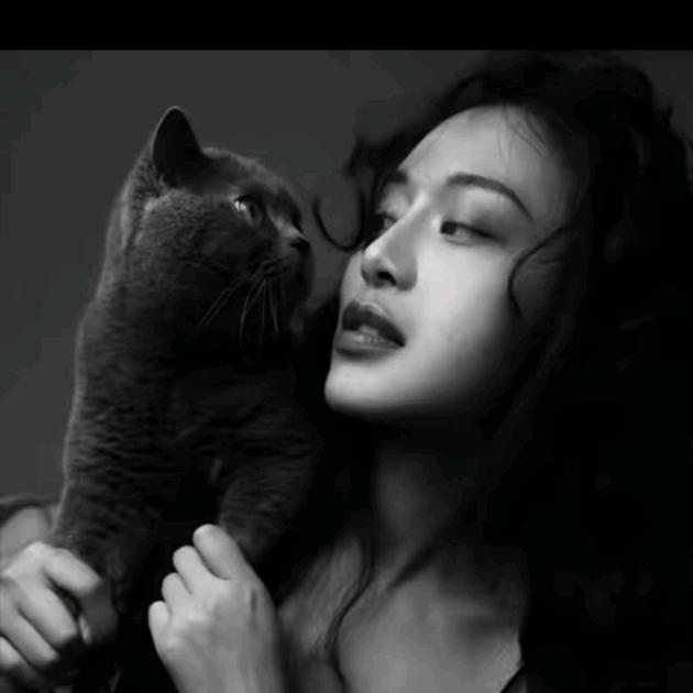 马乖-直播爆款返场