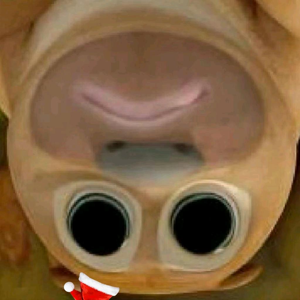 。。。。