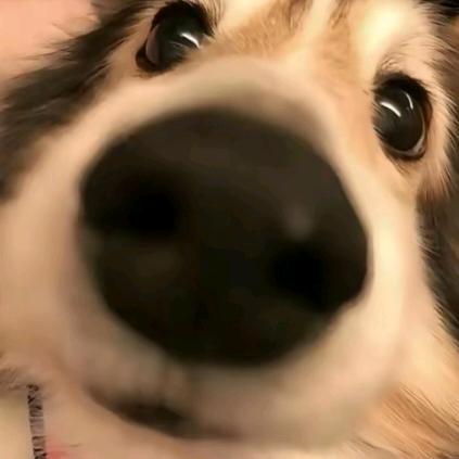 听说过奥特曼吗，那是我的一个老弟