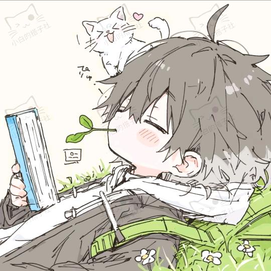 ʚ砚秋ɞ