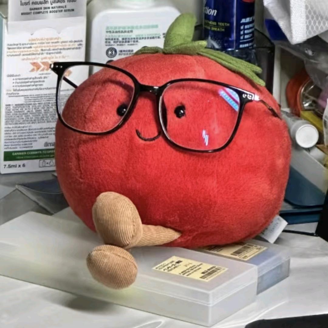 番茄哒柿界🍅