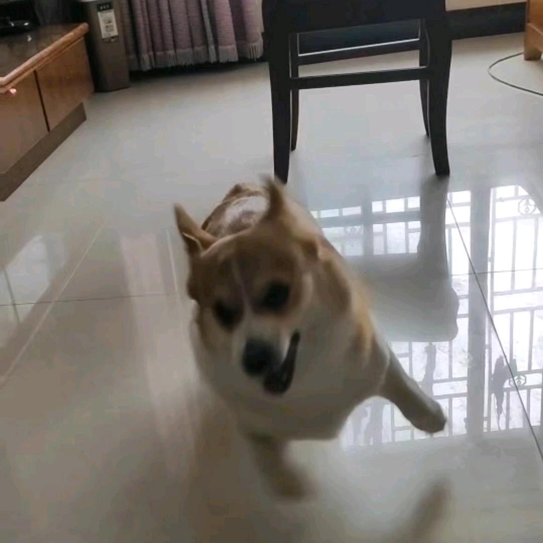 邦邦棒棒糖要出红