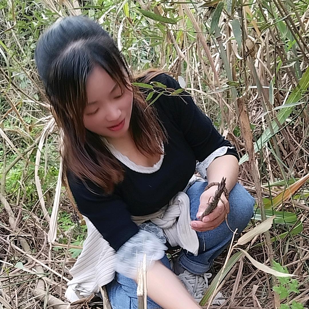 芳姐红娘（十）家政