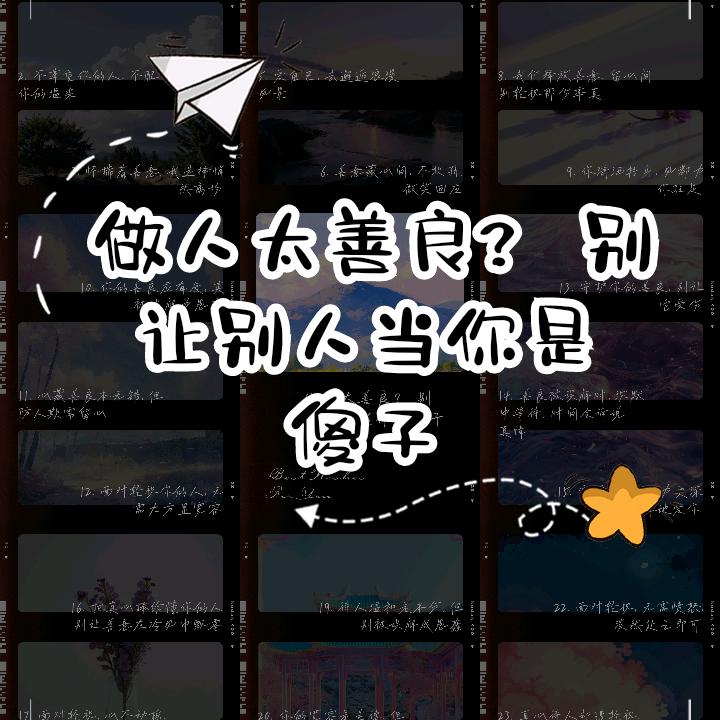 善良的傻子