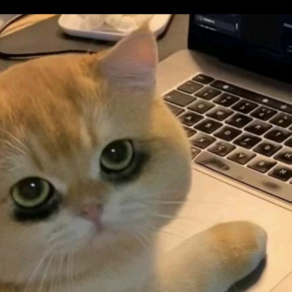 🍎🍅🍋🍓🍊🍑🍒