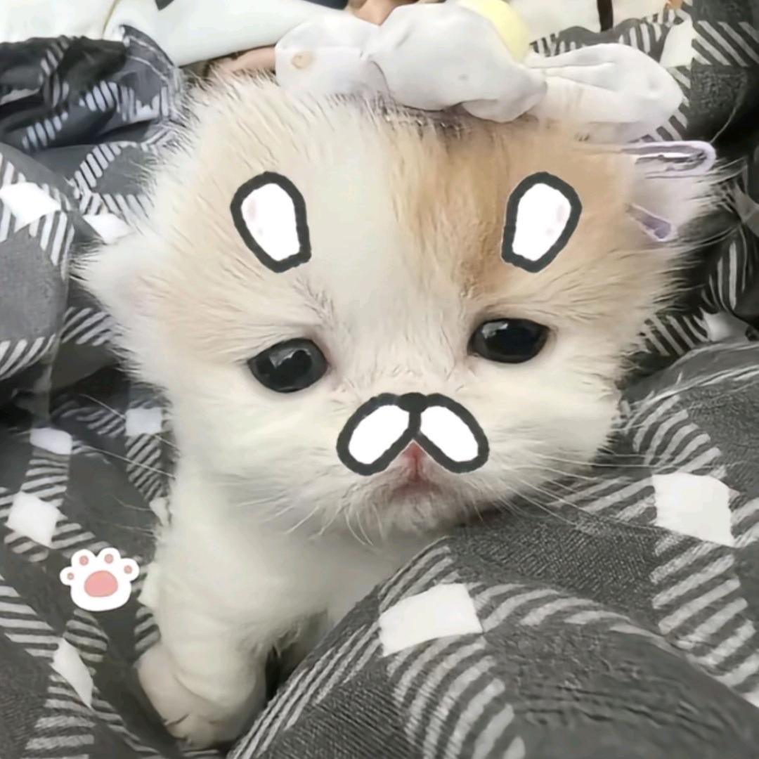 一天吃几顿