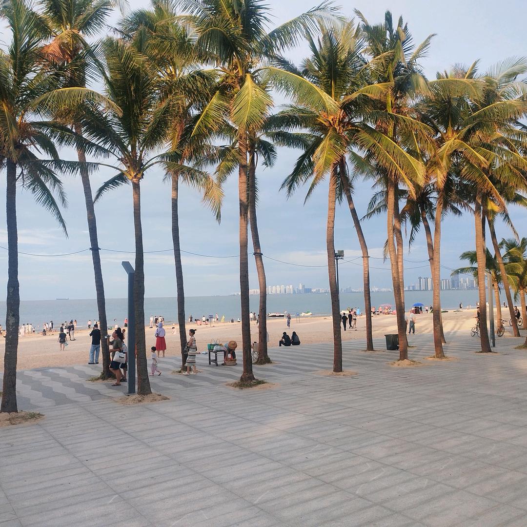 骑在墙上等红杏