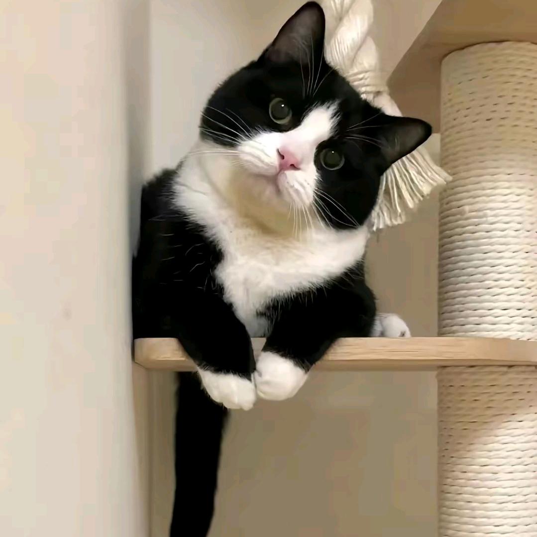 等我挣够了就去旅游