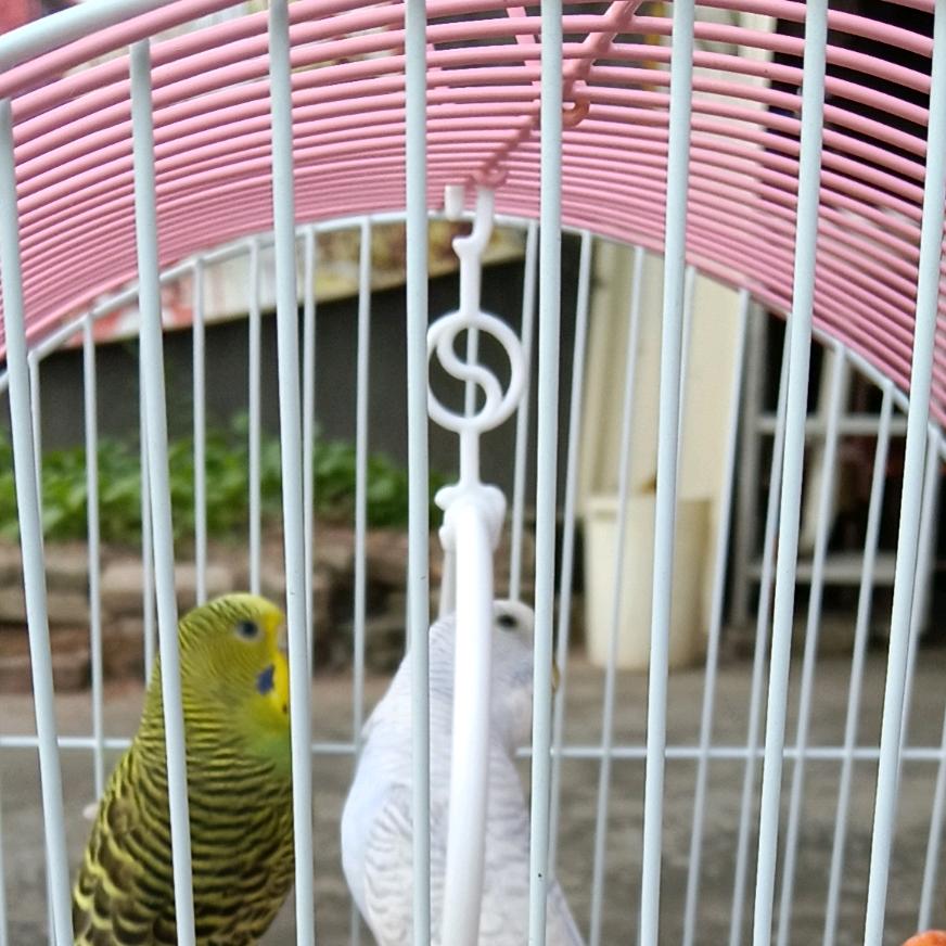 穿着拖鞋去澳门