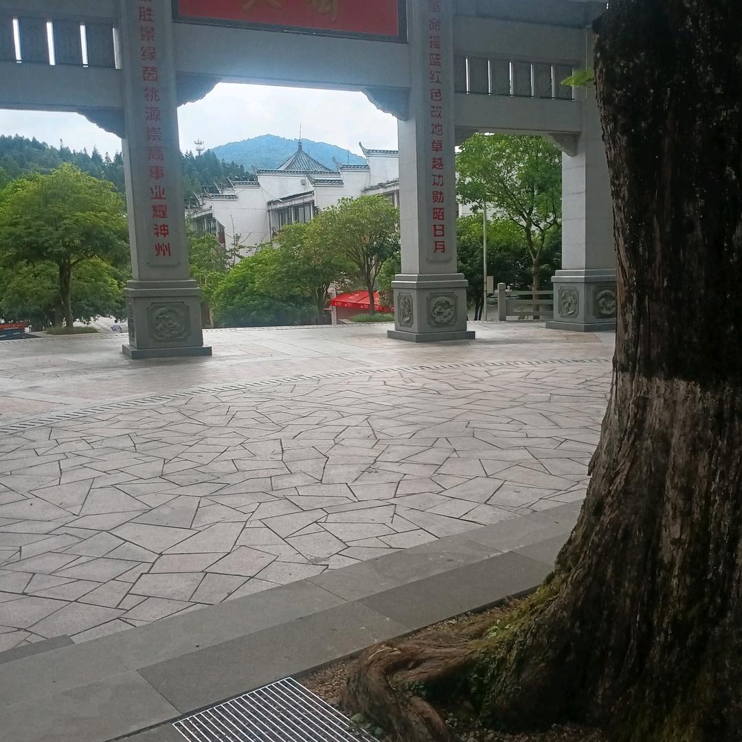 龍哥