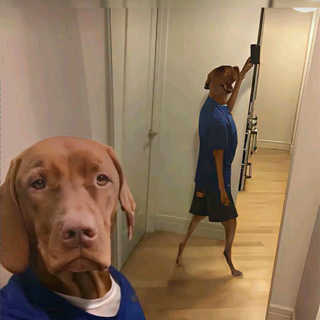 黑熊南瓜