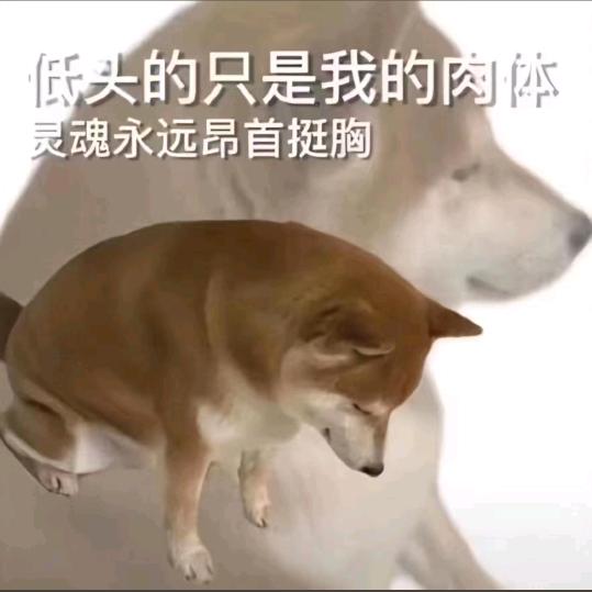 得意的说记妹95（玻璃心版）