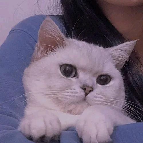 歡喜
