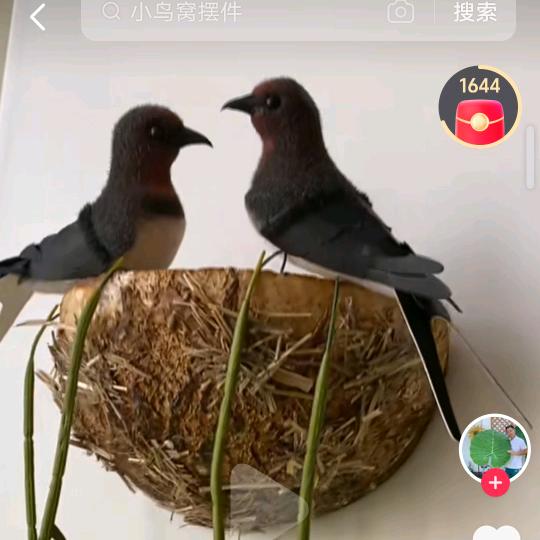 🎈余🎈额🎈暴🎈张🎈