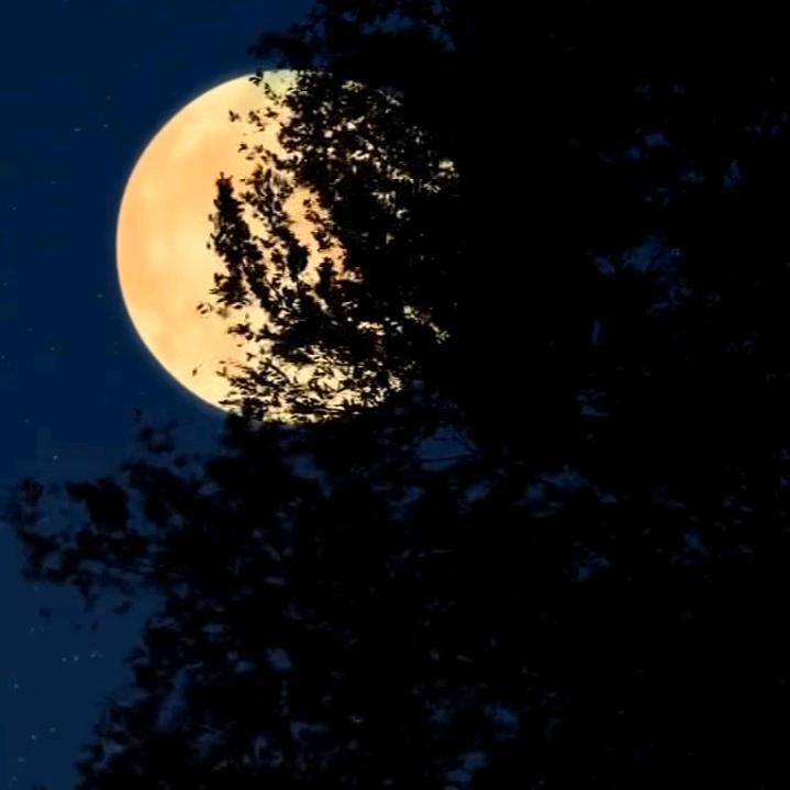 紫藤点开主页有橱窗有好物