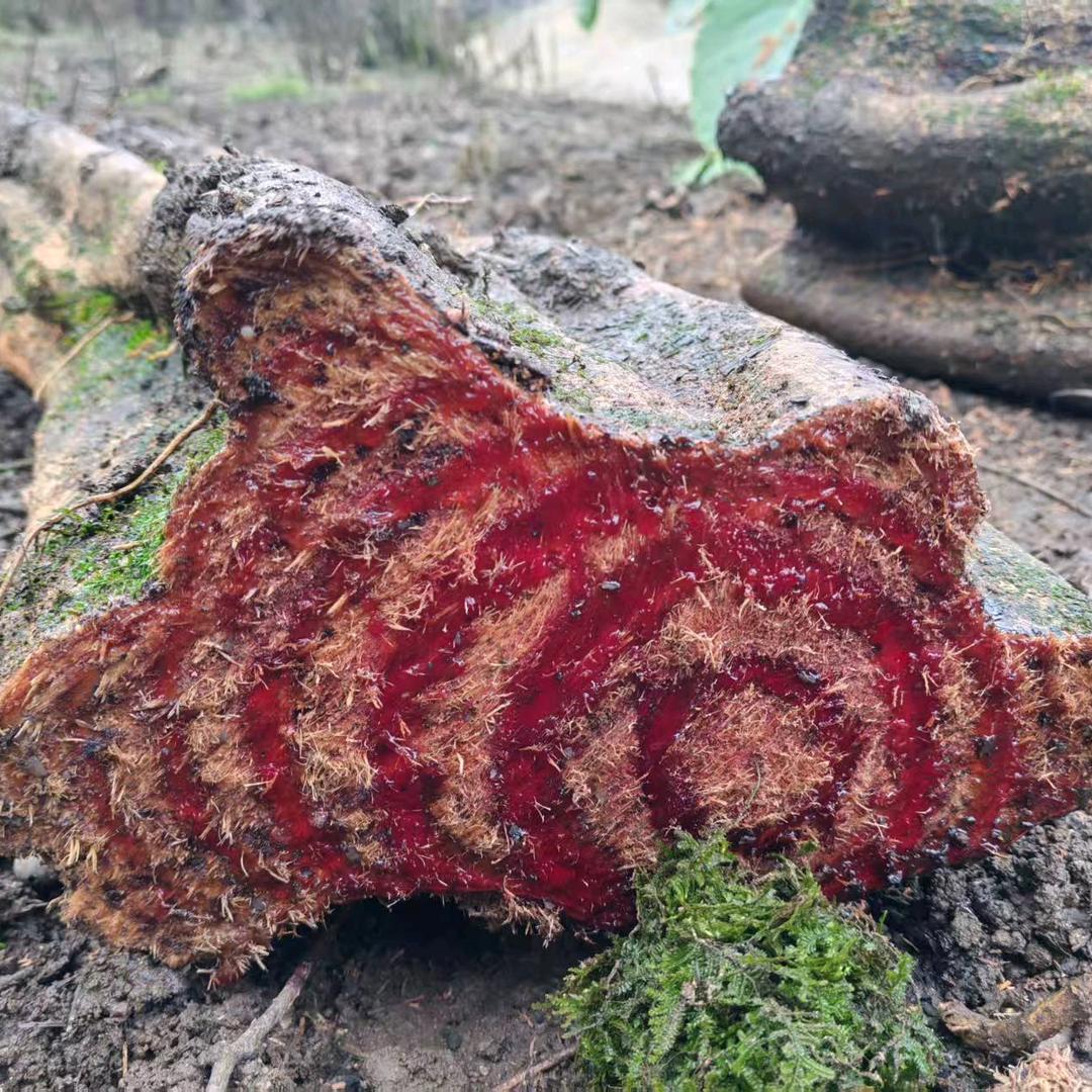 中，缅，老边境特产