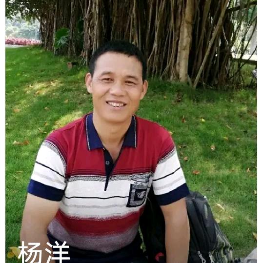 ，杨洋