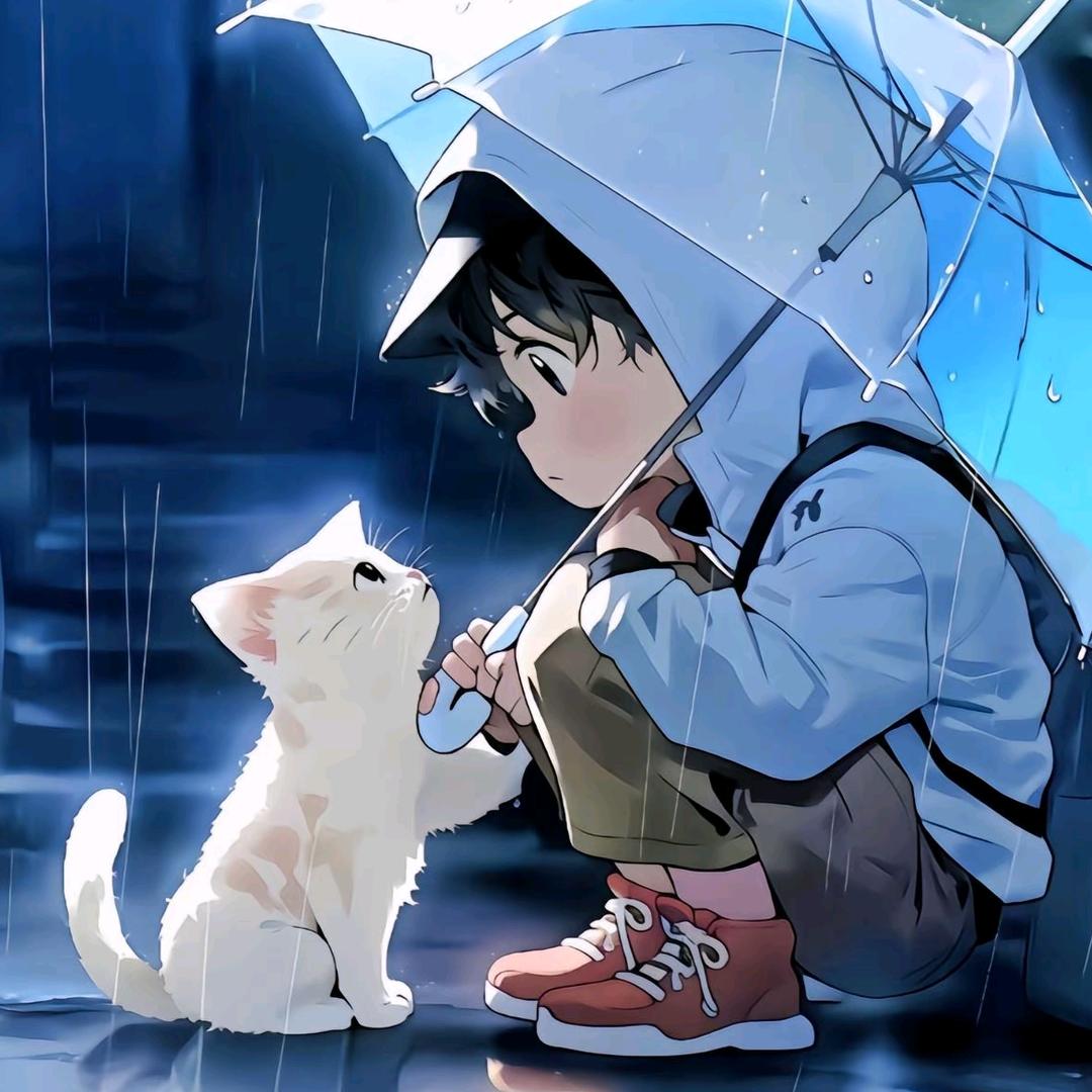 一颗小西柚