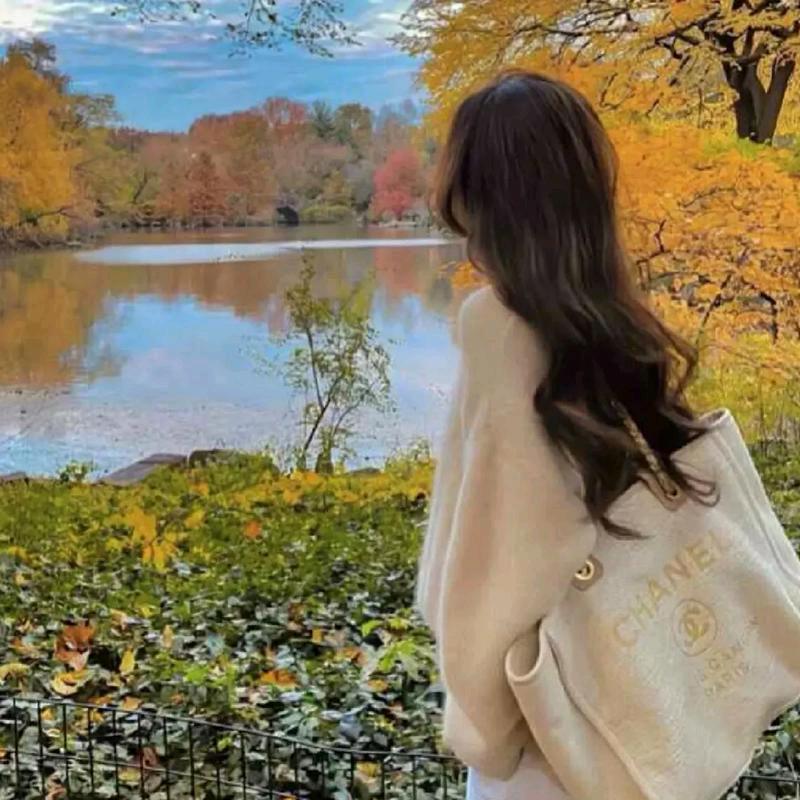 云端(龙息神寂)