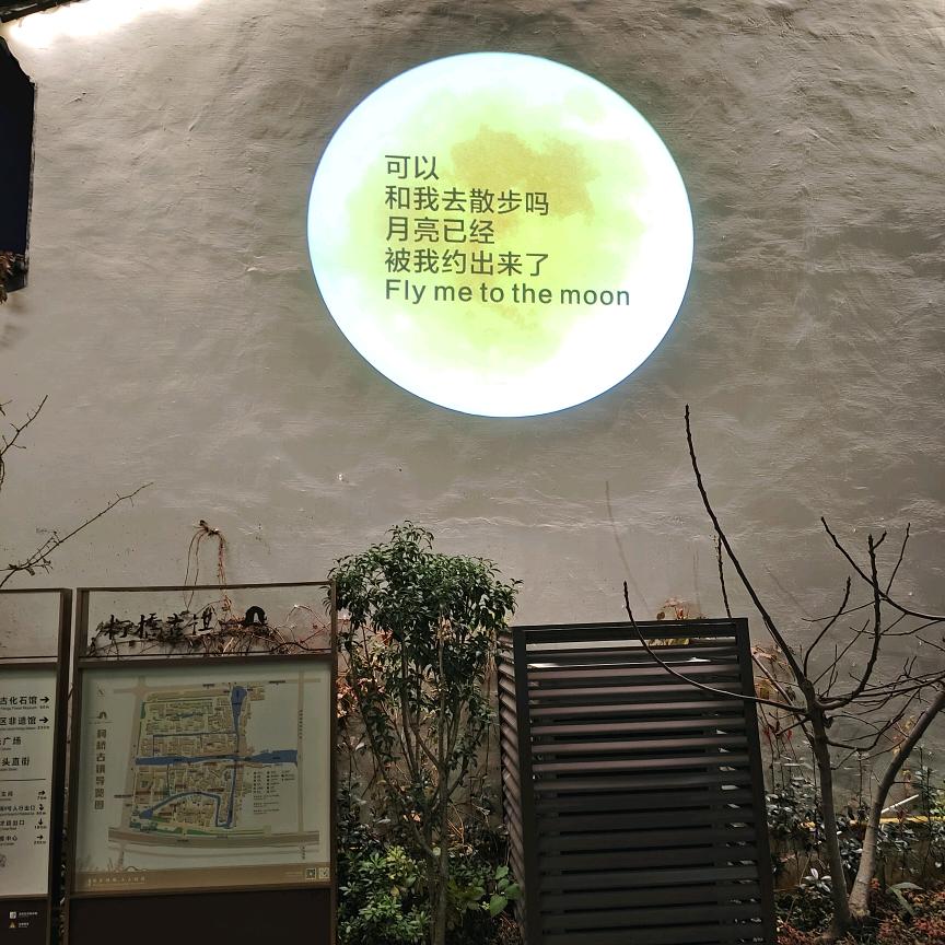 龙的传人VS