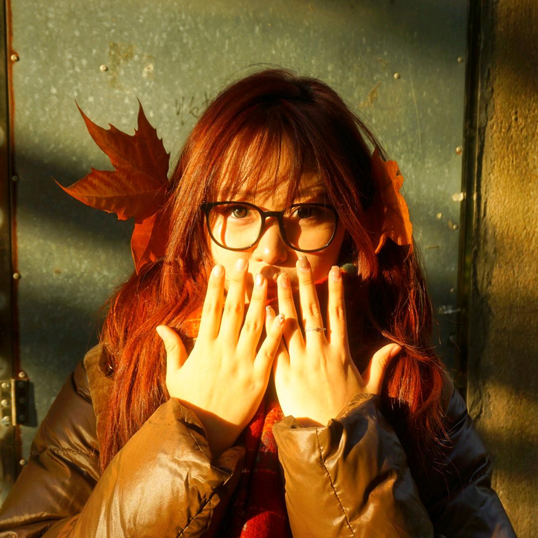 一只游走的猪🐷