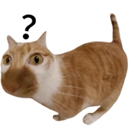 狗蛋
