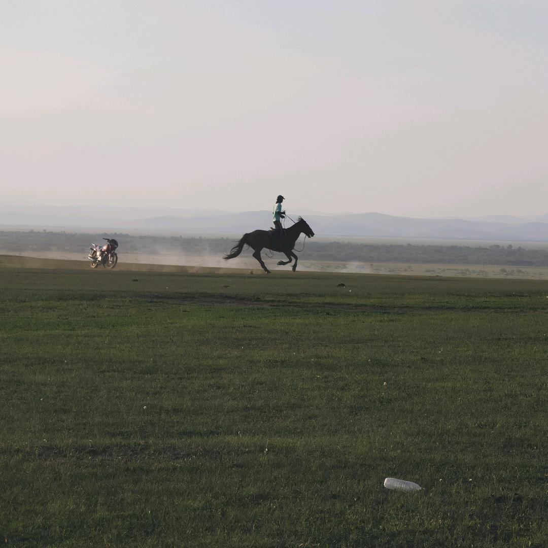 野骑
