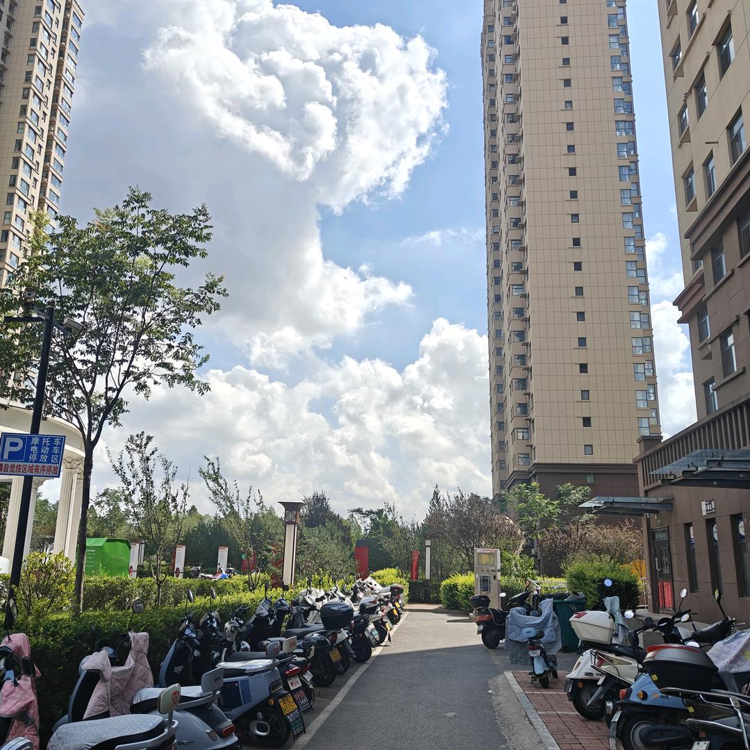 鞋子特大号805