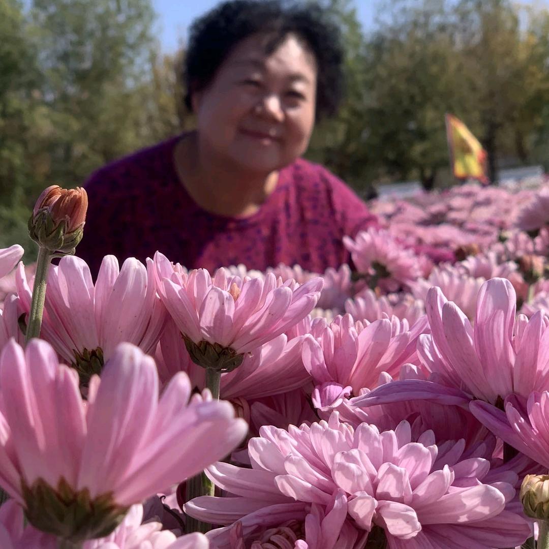 草原上的一枝花.🌸
