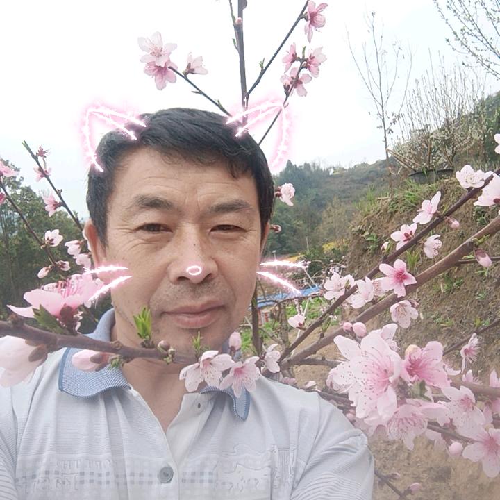 春天的桃花