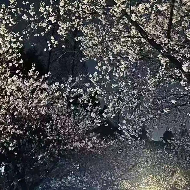 奔跑的蜗牛